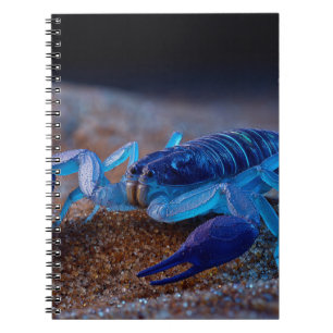 Cuaderno Bloc de notas Neon Blue Scorpion