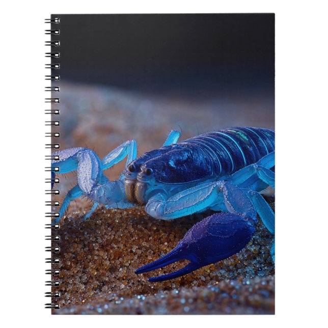Cuaderno Bloc de notas Neon Blue Scorpion (Frente)