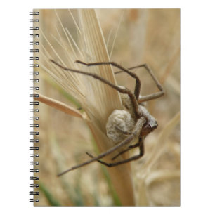 Cuaderno Bloc de notas para arañas y huevos