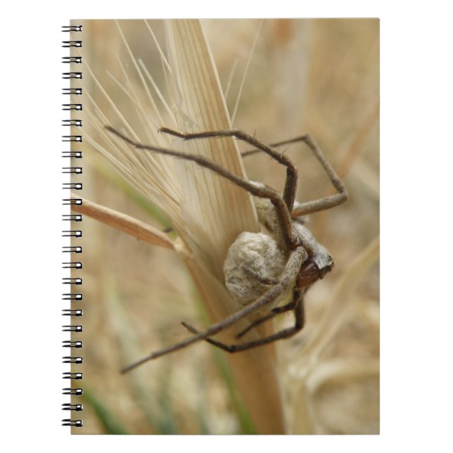 Cuaderno Bloc de notas para arañas y huevos (Frente)