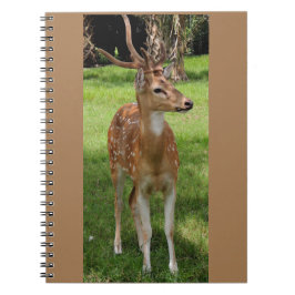 Cuaderno bloc de notas para bebés