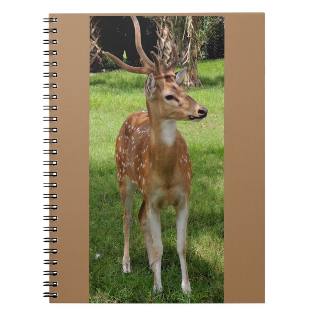 Cuaderno bloc de notas para bebés (Frente)