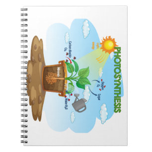 Cuaderno bloc de notas para bebés