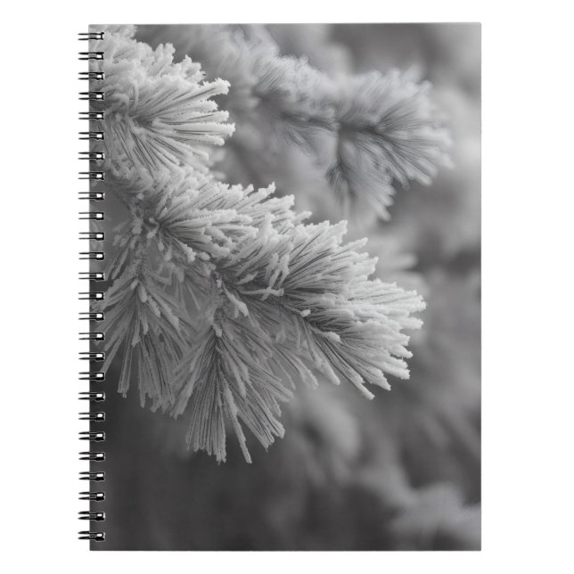 Cuaderno Bloc de notas para bifurcación de invierno de pino (Frente)