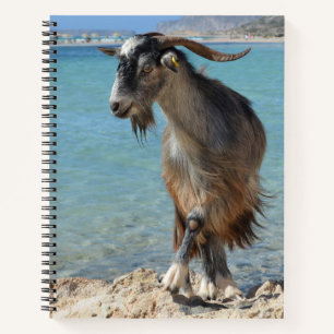 Cuaderno Bloc de notas para cabras de playa