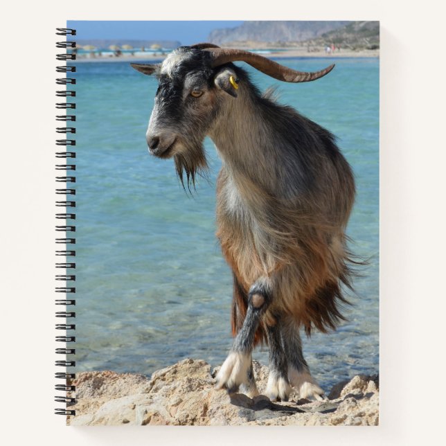 Cuaderno Bloc de notas para cabras de playa (Anverso)