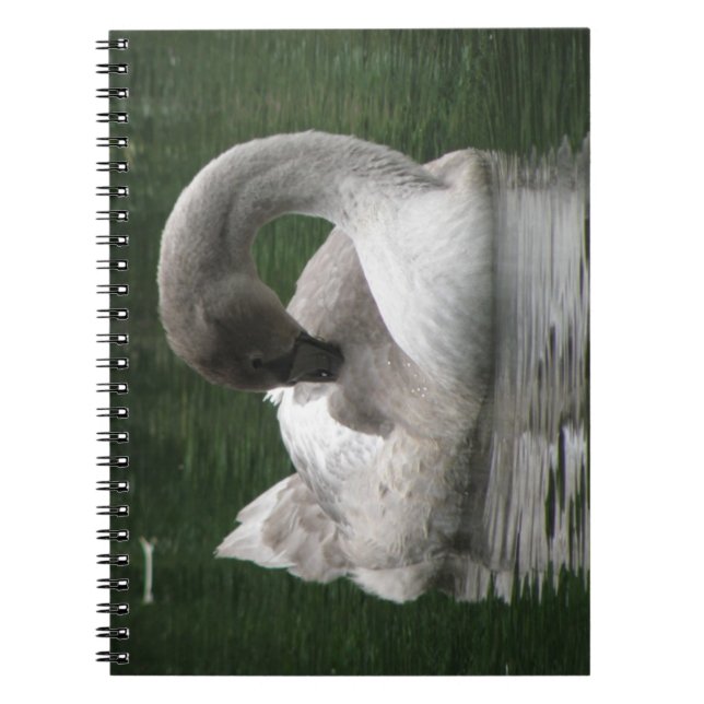 Cuaderno Bloc de notas para cisnes somnolientos (Frente)