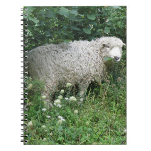 Cuaderno Bloc de notas para comer de ovejas blanquecinas bl