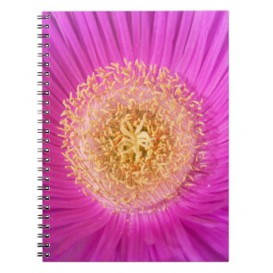 Cuaderno Bloc de notas para el centro de flor rosa