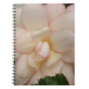 Cuaderno Bloc de notas para flores de Begonia blanca
