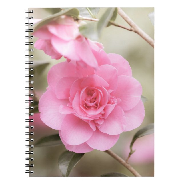 Cuaderno Bloc de notas para flores de camellia rosa suave (Frente)