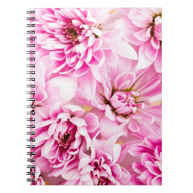 Cuaderno Bloc de notas para flores de crisantemo rosa (Frente)