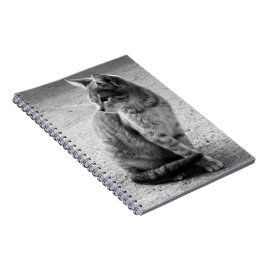 Cuaderno Bloc de notas para gatitos blancos y negros