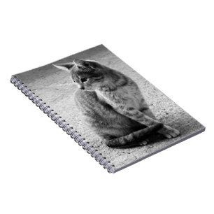 Cuaderno Bloc de notas para gatitos blancos y negros