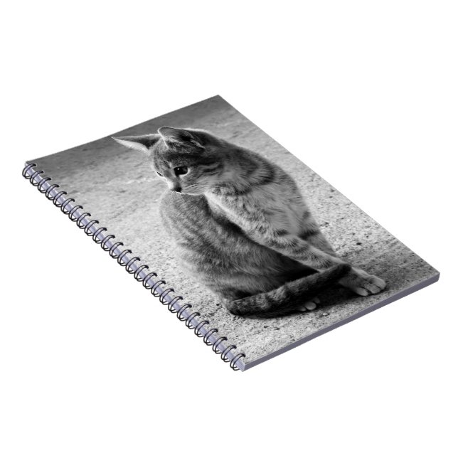 Cuaderno Bloc de notas para gatitos blancos y negros (Lado Derecho)