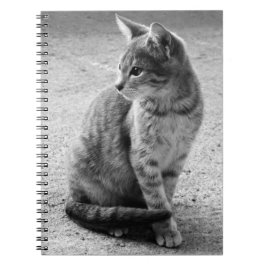 Cuaderno Bloc de notas para gatitos blancos y negros