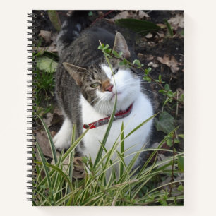 Cuaderno Bloc de notas para gato blanco y gris