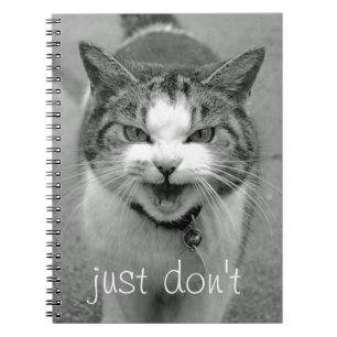 Cuaderno Bloc de notas para gatos de Crabby