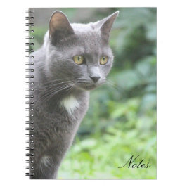 Cuaderno Bloc de notas para gatos Kitty