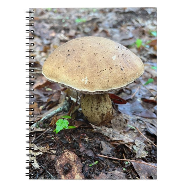 Cuaderno Bloc de notas para hongos (Frente)