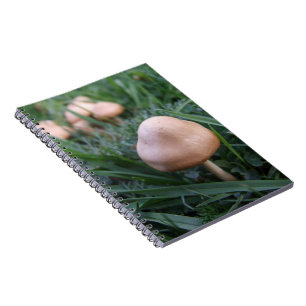 Cuaderno Bloc de notas para hongos