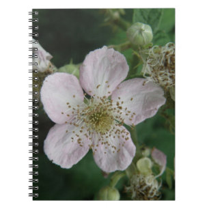 Cuaderno Bloc de notas para macros de flor de Blackberry