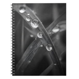 Cuaderno Bloc de notas para macros de hoja de gramíneas dew