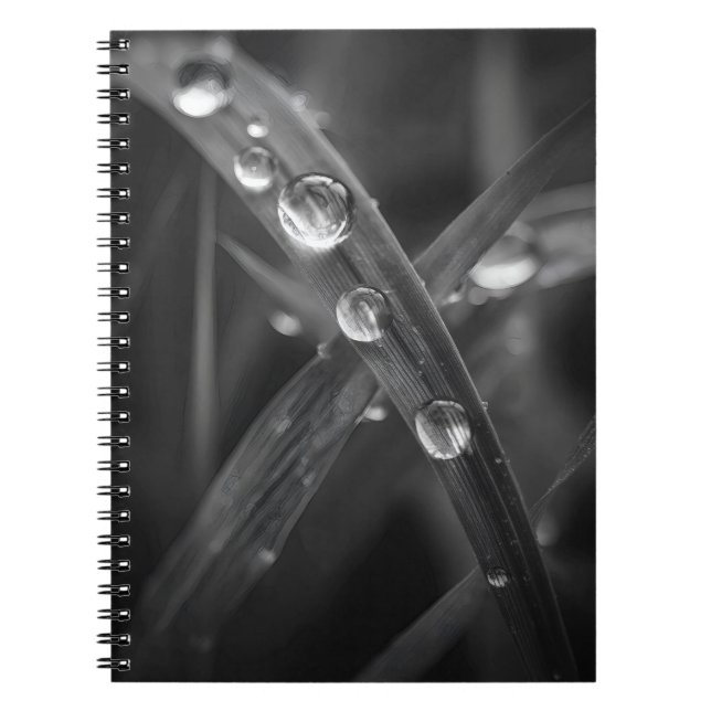 Cuaderno Bloc de notas para macros de hoja de gramíneas dew (Frente)
