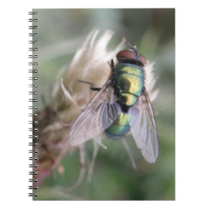 Cuaderno Bloc de notas para macros de la mosca verde de la