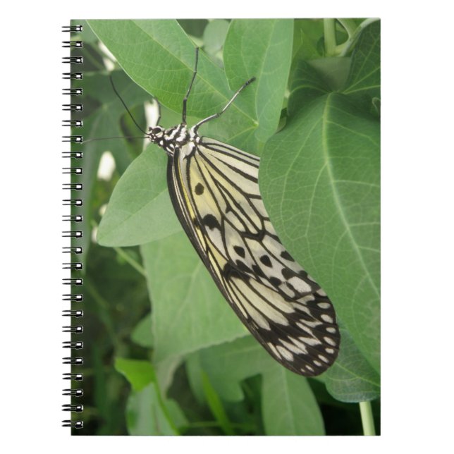 Cuaderno Bloc de notas para macros de mariposa de cometa de (Frente)