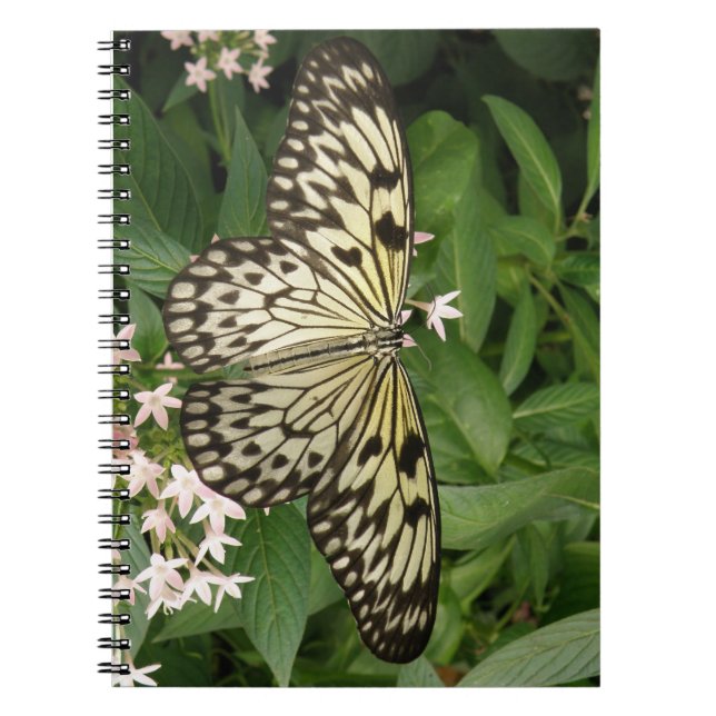 Cuaderno Bloc de notas para mariposa con cometas de papel (Frente)
