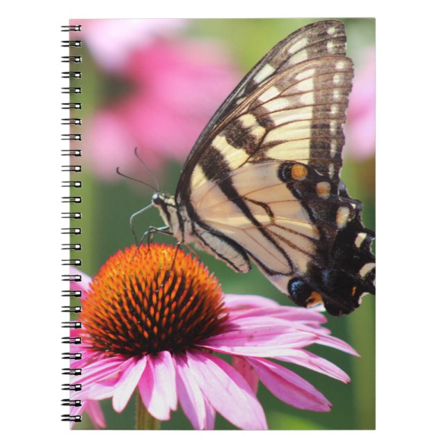 Cuaderno Bloc de notas para mariposa de cola tragaperras am (Frente)