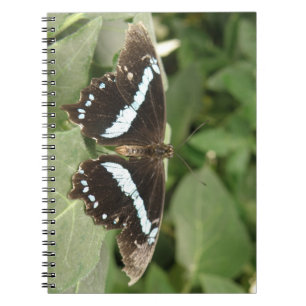 Cuaderno Bloc de notas para mariposa tropical en blanco y n