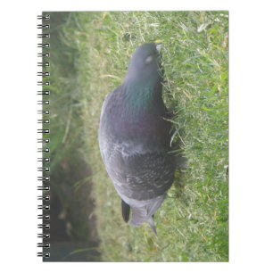 Cuaderno Bloc de notas para palomas durmientes