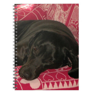 Cuaderno Bloc de notas para perros con sueño
