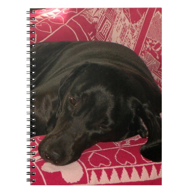 Cuaderno Bloc de notas para perros con sueño (Frente)