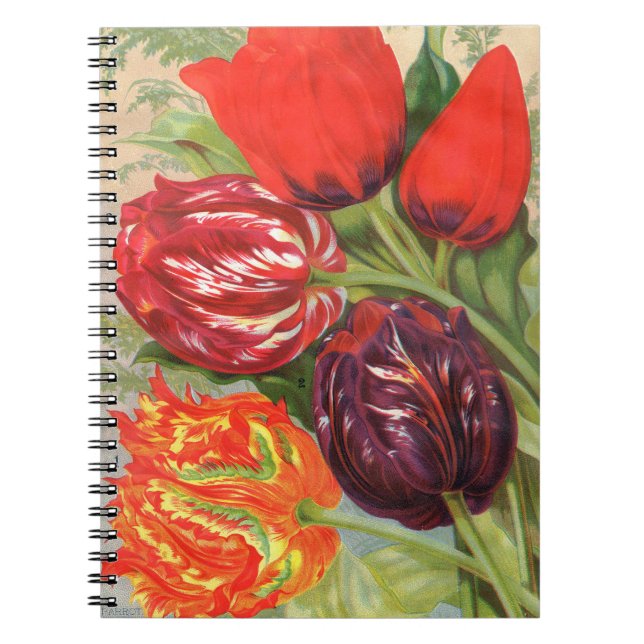 Cuaderno Bloc de notas para tulipanes botánicos VTG (Frente)
