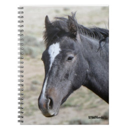 Cuaderno Bloc de notas Poseidon de la cuenca del Arena