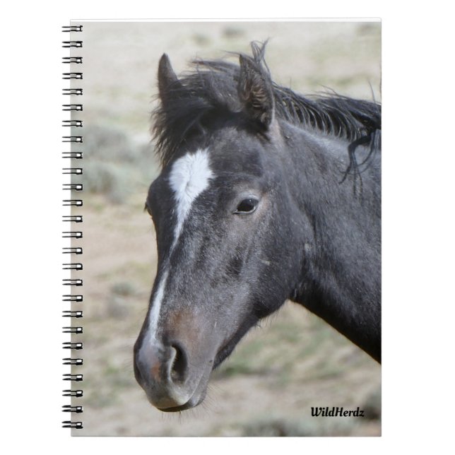 Cuaderno Bloc de notas Poseidon de la cuenca del Arena (Frente)