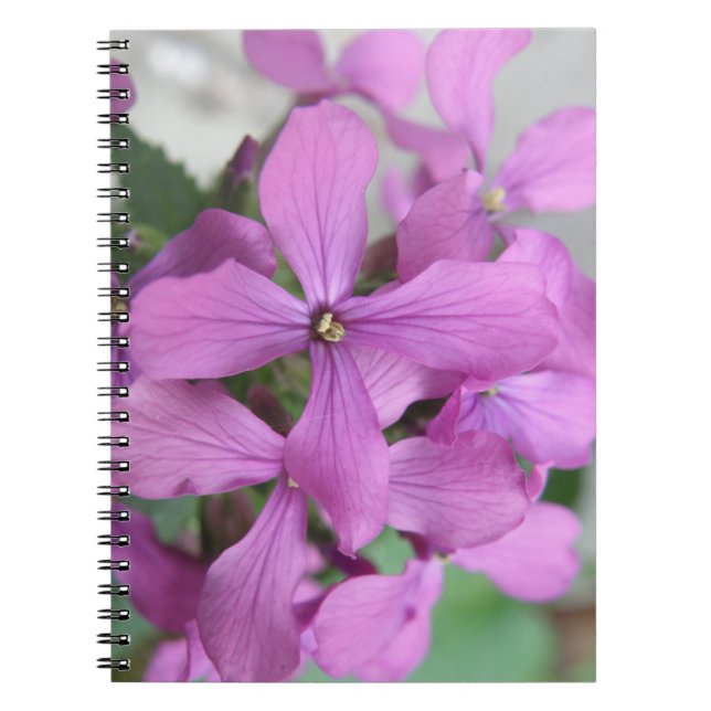 Cuaderno Bloc de notas Purple Wildflowers (Frente)