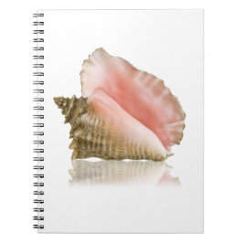 Cuaderno Bloc de notas Queen Conch
