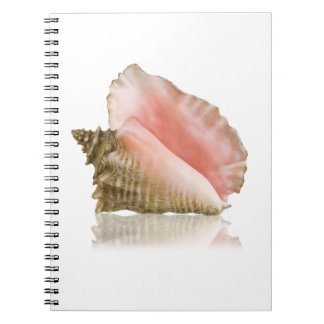 Cuaderno Bloc de notas Queen Conch