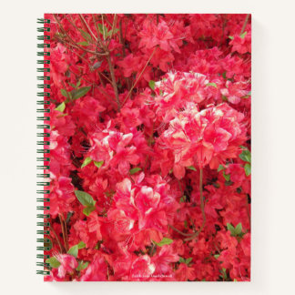 Cuaderno Bloc de notas Red Azalea