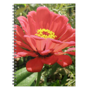 Cuaderno Bloc de notas Red Zinnia