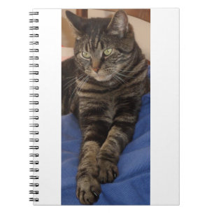 Cuaderno Bloc de notas Regal Dave Photo (80 páginas)