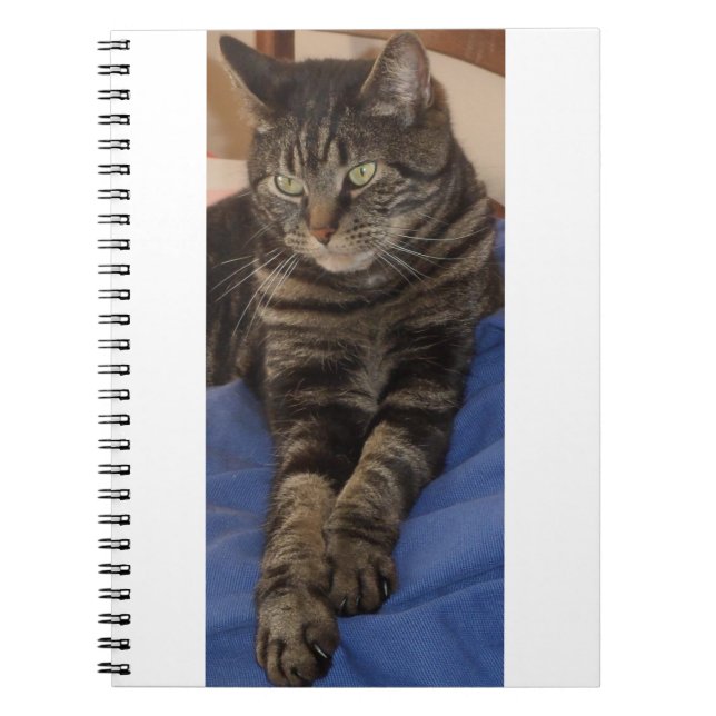 Cuaderno Bloc de notas Regal Dave Photo (80 páginas) (Frente)