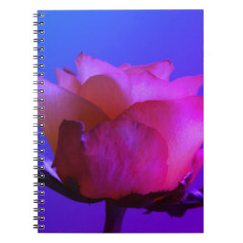 Cuaderno Bloc de notas rosa