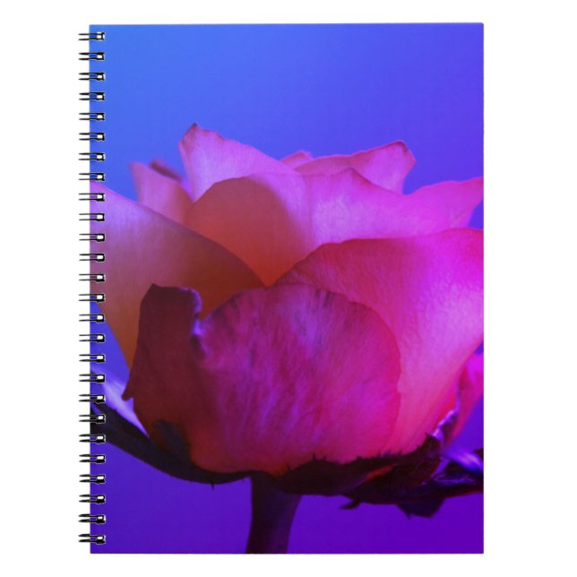 Cuaderno Bloc de notas rosa (Frente)
