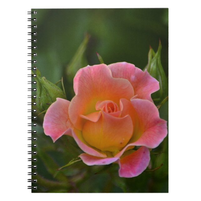 Cuaderno bloc de notas Rosa (Frente)