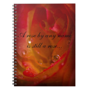Cuaderno bloc de notas Rosa 1